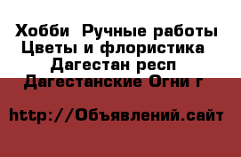 Хобби. Ручные работы Цветы и флористика. Дагестан респ.,Дагестанские Огни г.